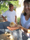 Larry,Cathy,Chick