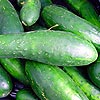 Description: Cuban cucumbers
