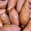 Description: Cuban sweet potatoes